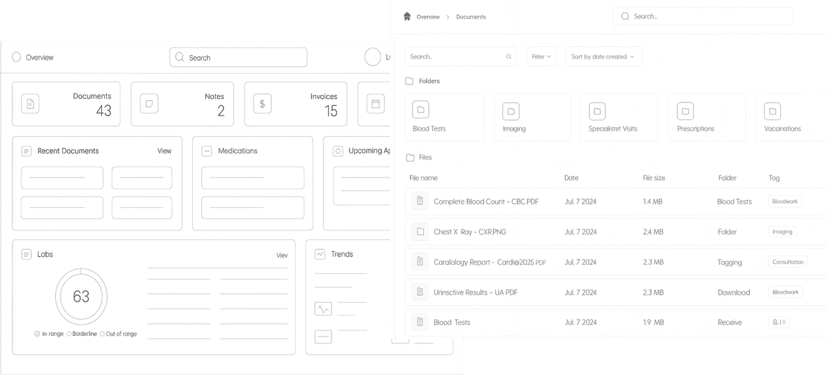 Salutis wireframes showing information architecture